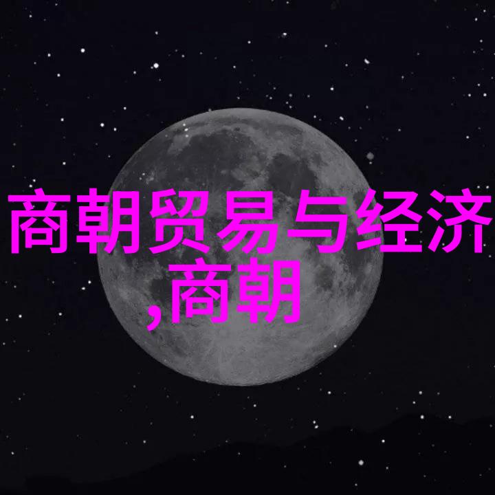 明朝之名曦光重建的历史篇章