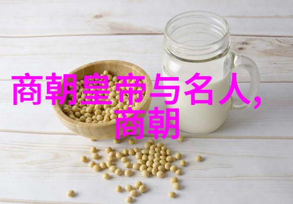 大运河申遗的智慧指引六个练习太极步的小诀窍使者