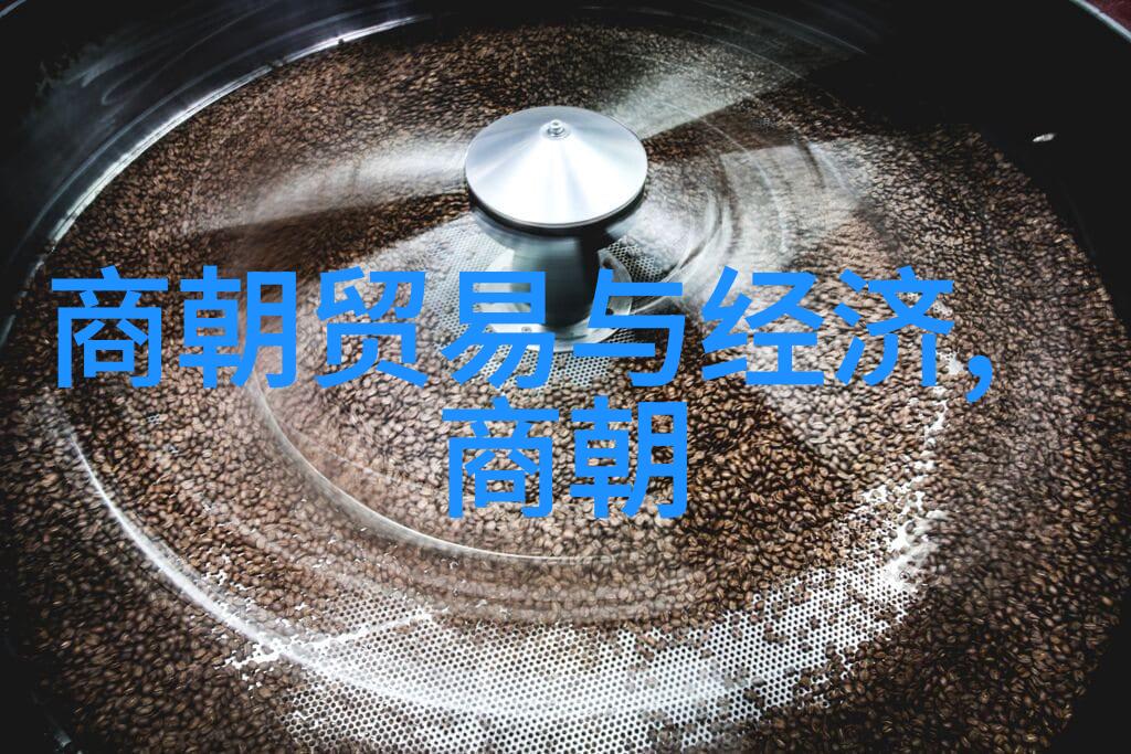 朱棣一脉不长寿明朝开国皇帝后代的短暂荣耀与早逝命运