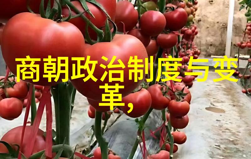 中国民间故事二十四朝代顺口溜中的范十五与金对偶