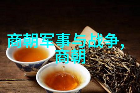 土木堡之变全军覆没背后的历史谜团又是怎样的