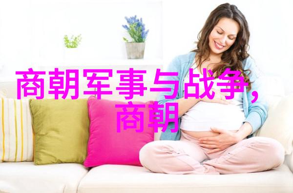 从大汉至晚清中国历史朝代面积变迁的宏伟篇章