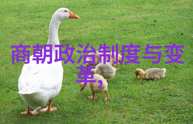 元代社会经济结构变化尤其是在农业手工业和商业方面有何特点
