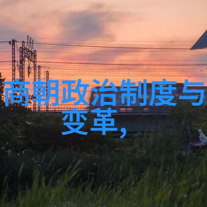 中国古代经典奇案红楼梦中的弑亲案件