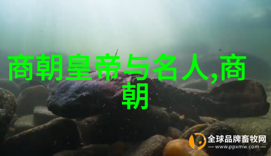 屠城之谜东汉末年的背后有多少秘密
