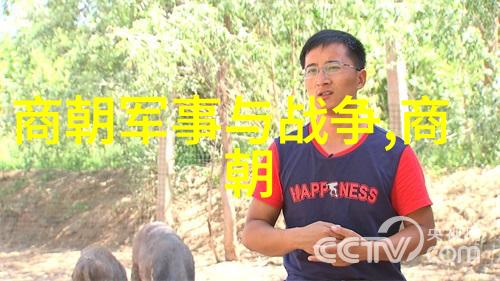 历史的轮回从晋朝到宋朝的变迁探究