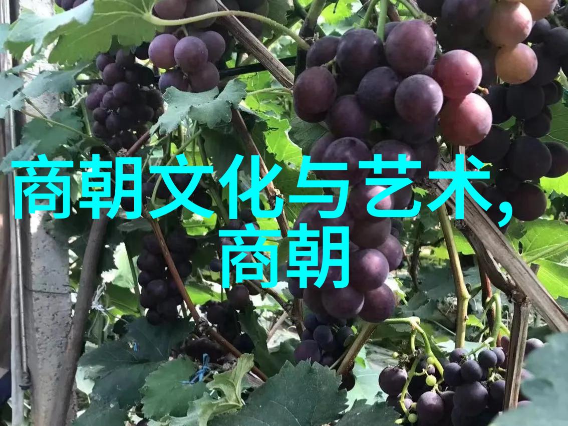 元朝的著名宰相脱脱历史上的政治巨匠与其治国策略