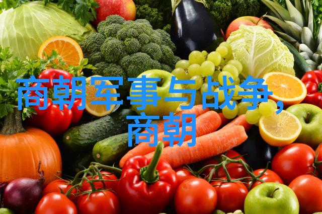 元朝历史的智慧探索治国理政的时间LESSION