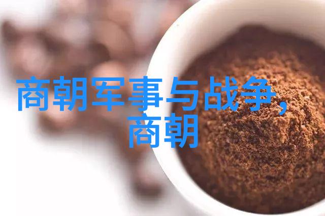 乾隆隐匿的过去雍正皇帝在历史中的沉默存在