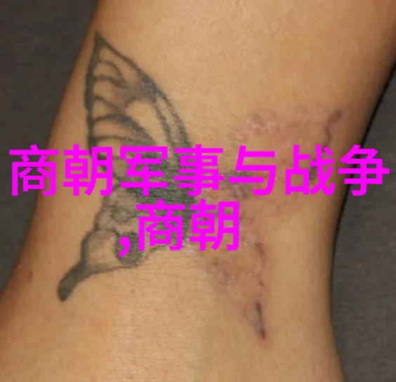 萨米赫迪拉上海的足球传奇下