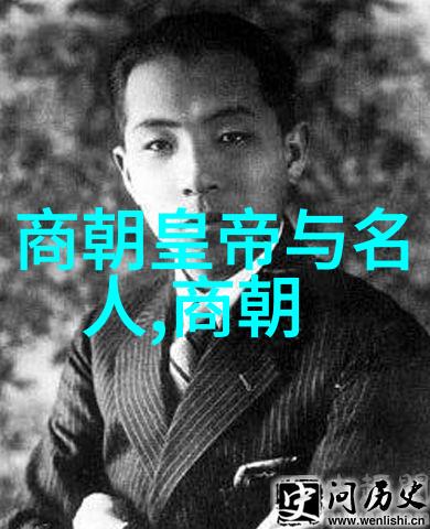 探秘明朝的阴影与光辉黑暗之谜与真实面貌