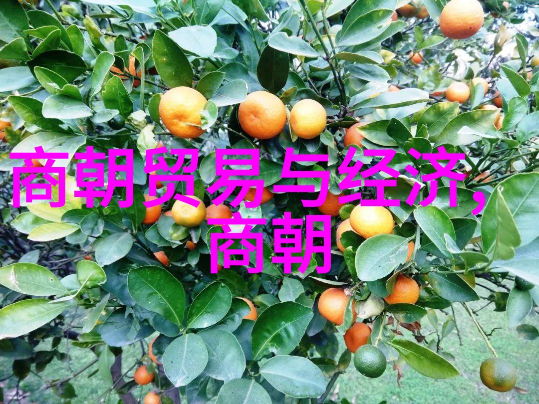 明朝中国历史的巅峰与影响力