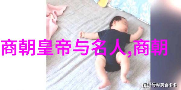 朝代辉煌与沉浮二十四朝的反差史诗