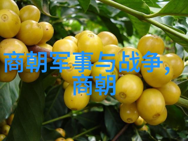 隋朝之谜是谁的杰作