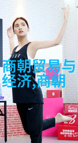 清风明月下的历史探索大学生眼中的明朝奇缘