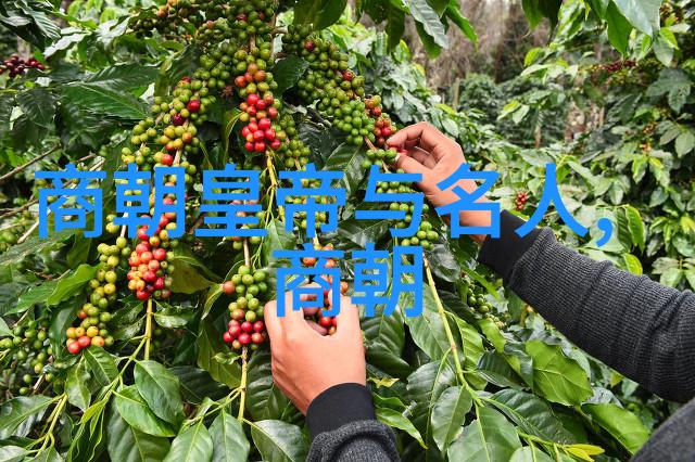 皇帝的秘密揭开最诡异朝代的幽默面纱
