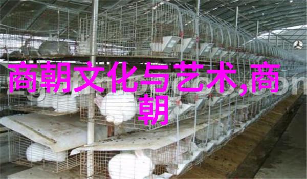 明朝英宗朱祁镇最无耻的秘密背后的宫廷阴谋与历史遗迹