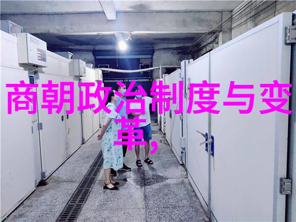 元顺帝后金入关建立大元国志