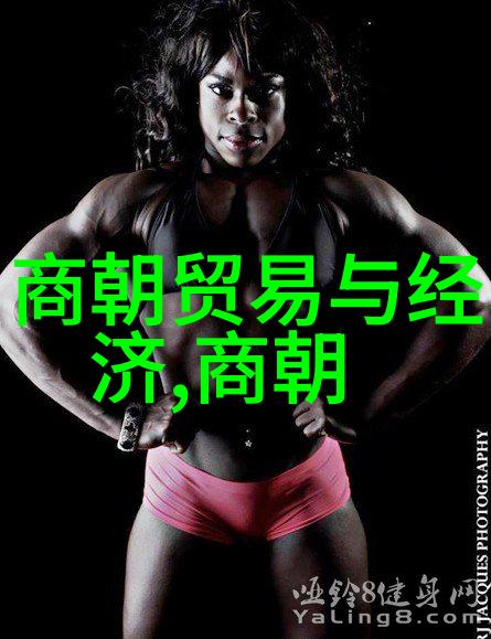 明朝天启帝遇刺案