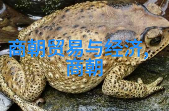 明镜易破朝纲断裂的幻影