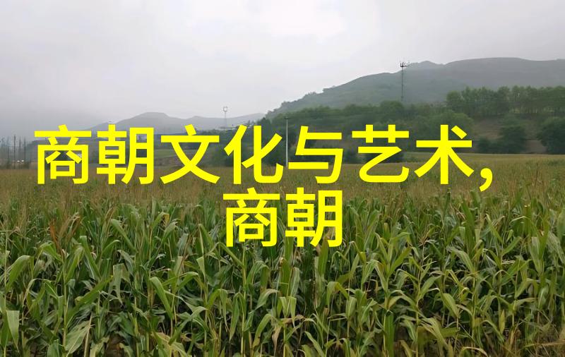明朝三排名 明朝三大排行系统的兴衰与影响