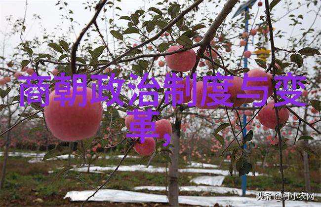 接了一个30厘米长的客人我的生活节奏被打乱了