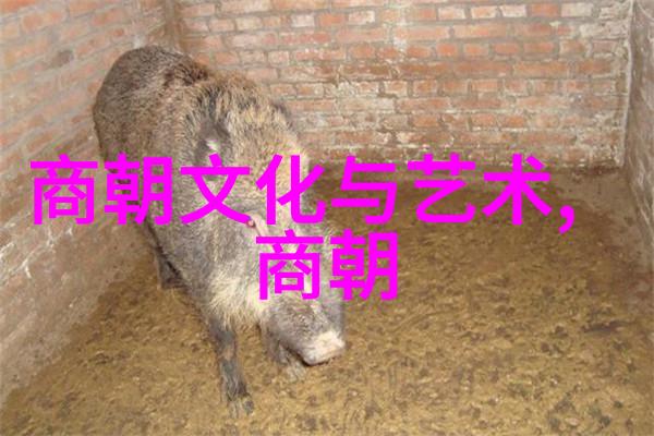 明朝宦官问题及其对君主权力的冲击