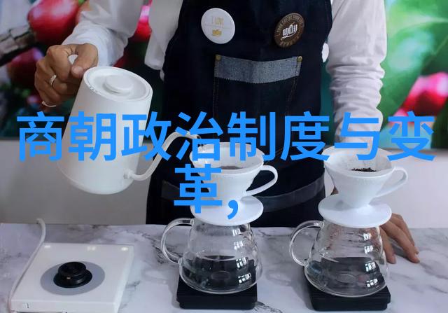明朝风华录龙凤呈祥的盛世篇章