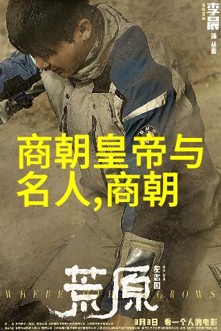 陈夫年世界文化名人世界和平理事会的数据驱动之星
