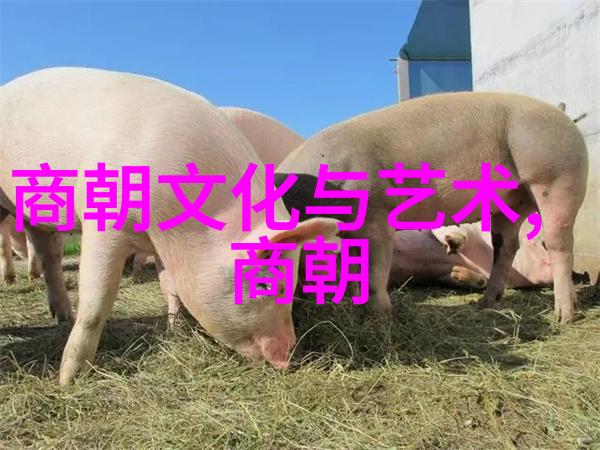 风雨中的勇士二年级学生如何从寓言中学习坚韧不拔精神