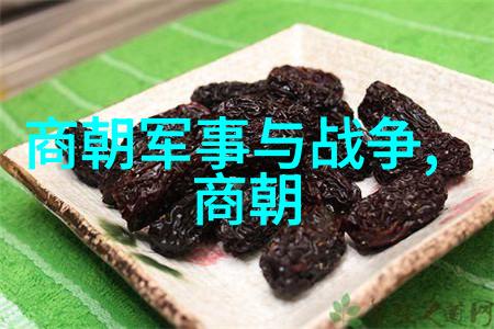 孟庆刚梦中乐河南豫剧丑行演员豫剧曲剧大全全集中的活字典