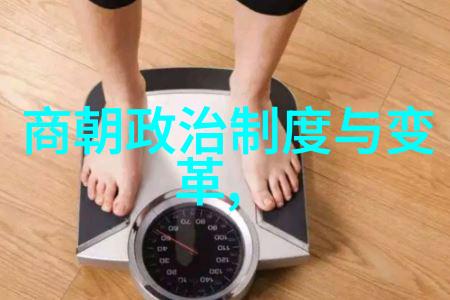 明朝那些事儿历史上的明朝政治经济文化概述