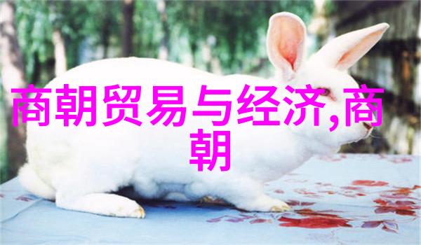 明朝的皇帝们历史上的统治者们有多少位