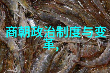 历史与文化-元朝辉煌从忽必烈到大都的兴衰