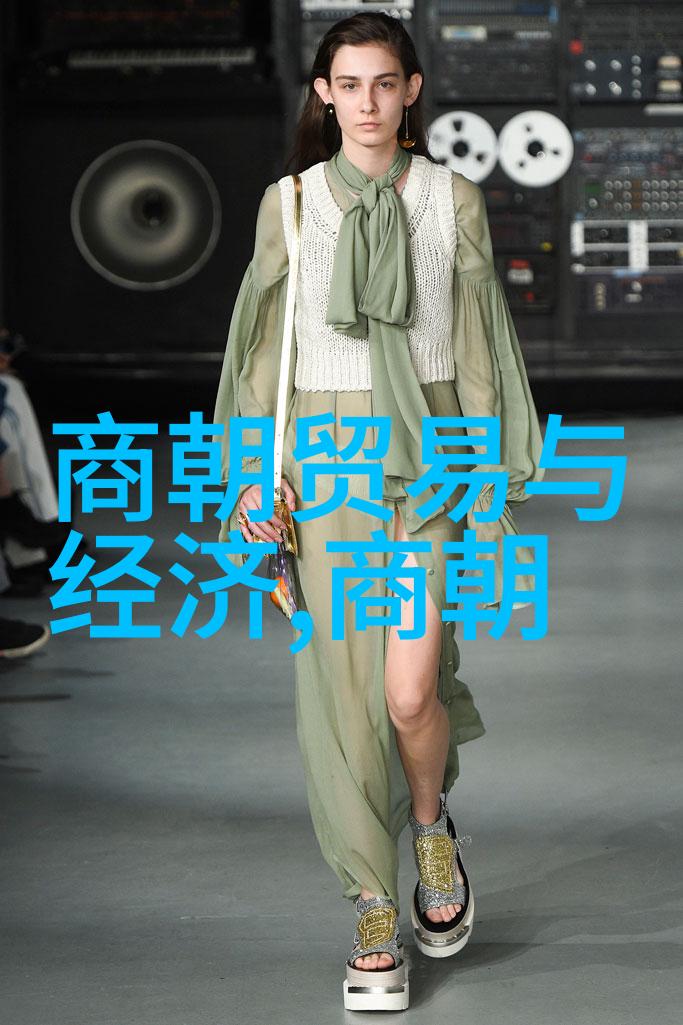中国近代史经典历史故事辛亥革命北伐战役南京大屠杀