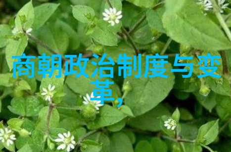 清朝与明朝比较科技创新与社会发展的对比研究清朝技术落后于明朝
