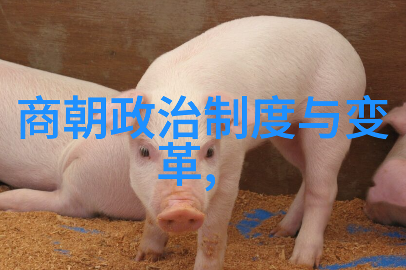 大明风华中的孙若微身边丫鬟细语轻笑与宫廷秘密