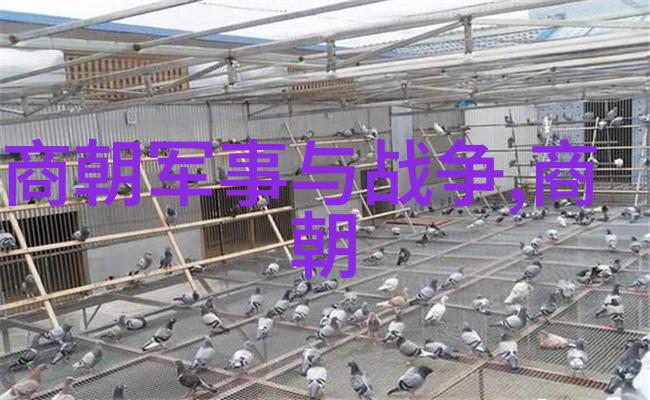 你知道吗一览中国历代王朝从黄帝到清朝的辉煌与变迁