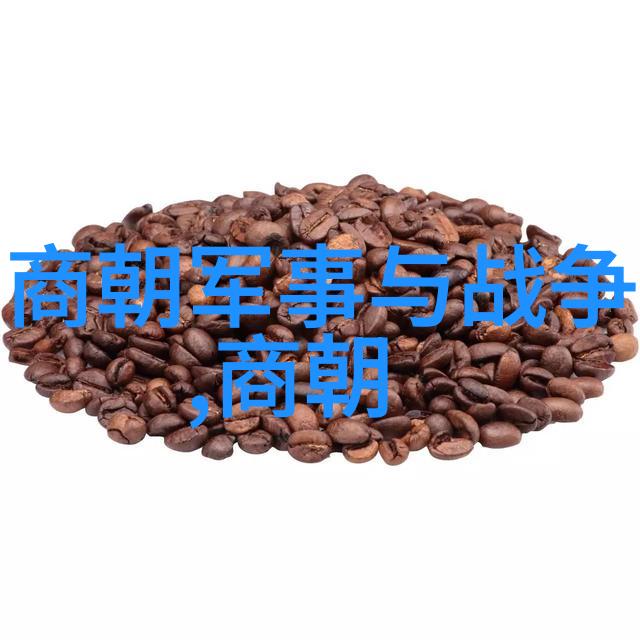 探索明朝遗韵万历之后的历史轨迹与文化续章