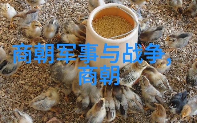 为何明朝最终走向衰败