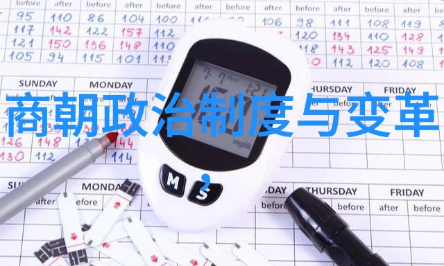 朱棣夺位对明朝后续发展的影响分析