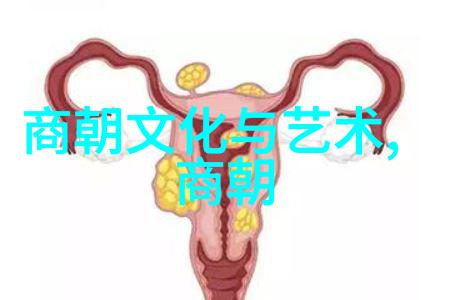 明朝16位-重塑历史明朝十六位皇帝的辉煌与挫折