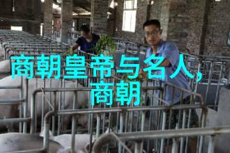 明代历代家族谱明朝皇族与士大夫的血统记录