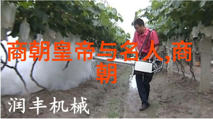 阿凡提的智慧之旅探索古代神话中的哲学家与他的故事