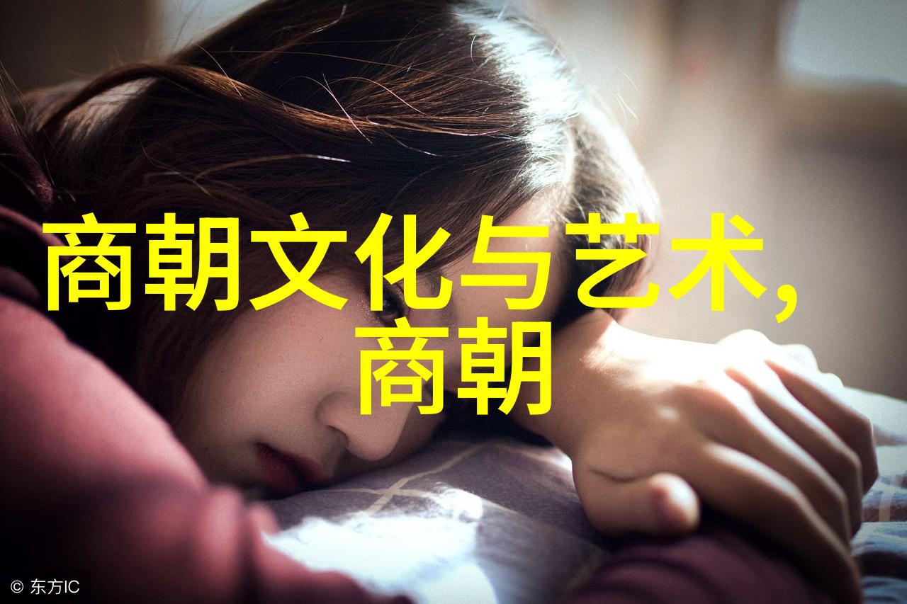 元朝的征服与边疆从蒙古帝国到大元帝国对外扩张的故事