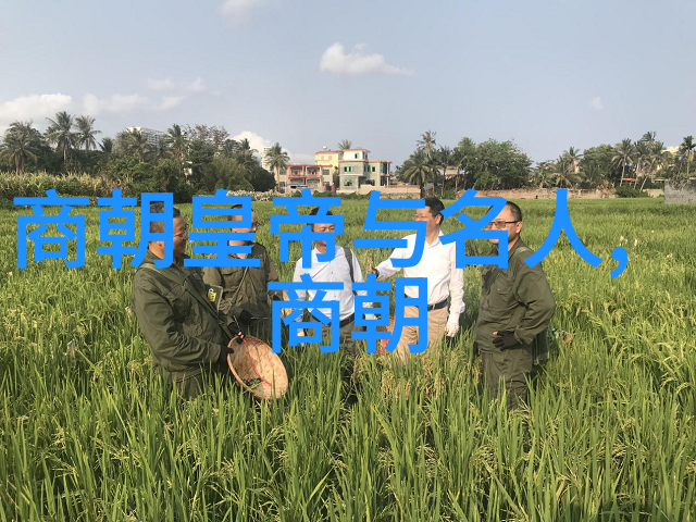 明初之路朱元璋的统一与开国神话