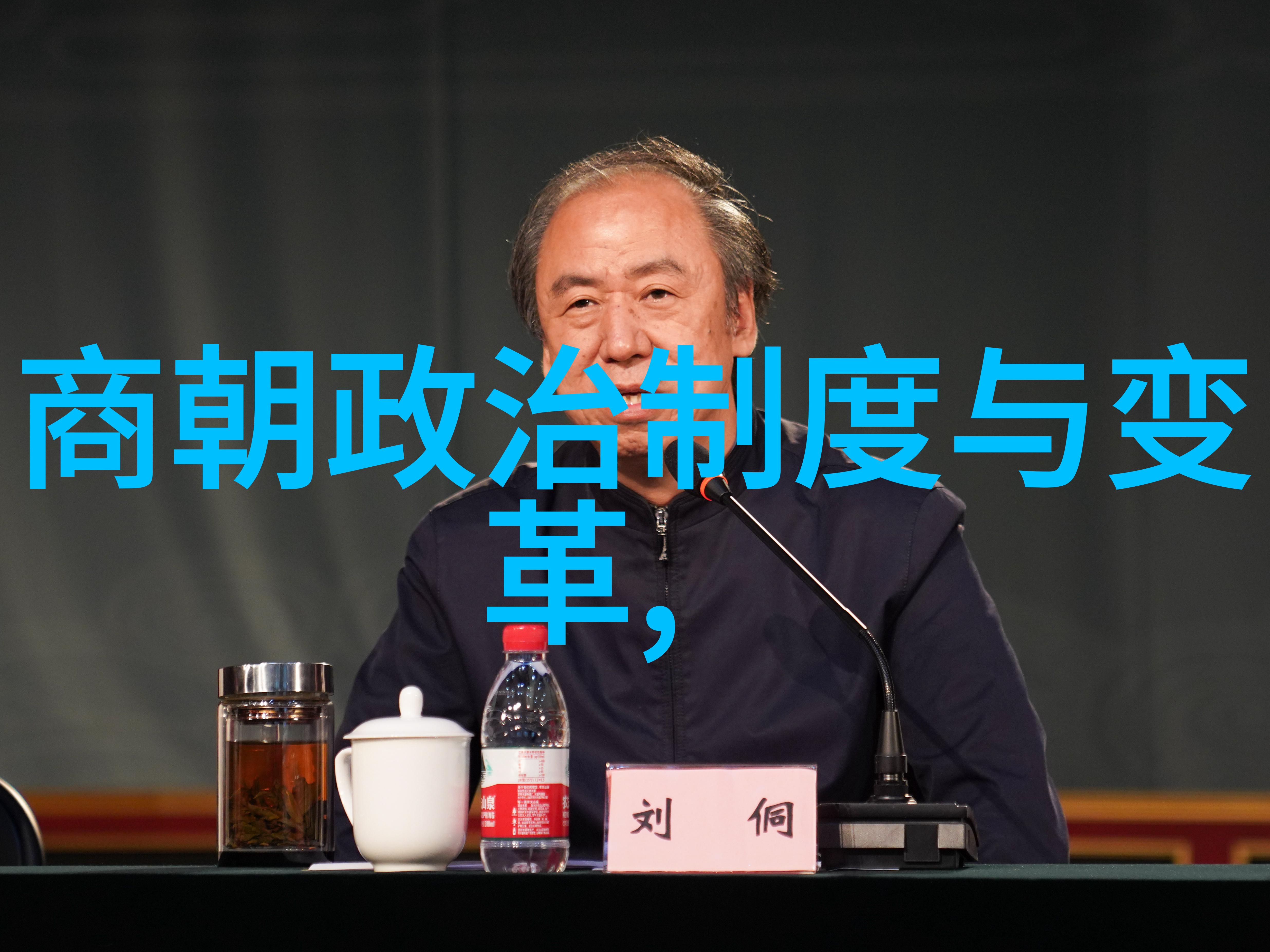 芈姝先秦时期历史人物数据分析