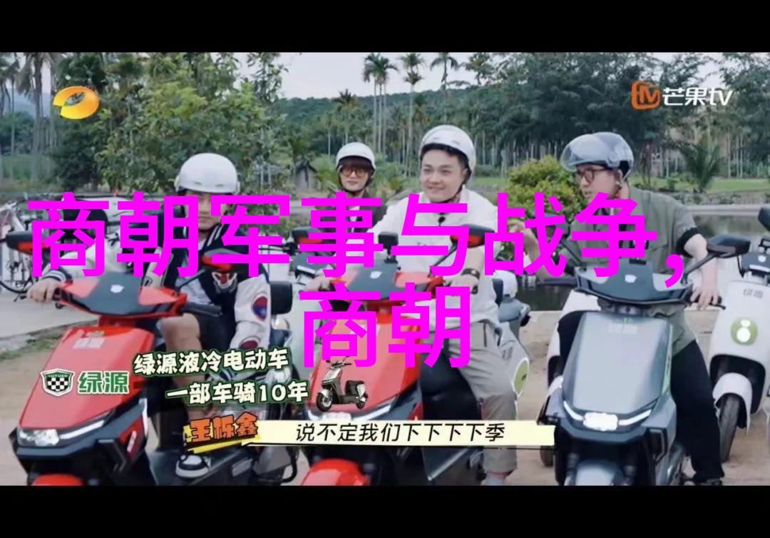 陈夫年中国十大名人数据解析