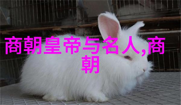 明朝那些事儿MP3王更新下载历史剧集音频资料