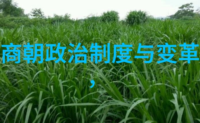 恐怖的统治揭秘世界上最令人寒心的朝代